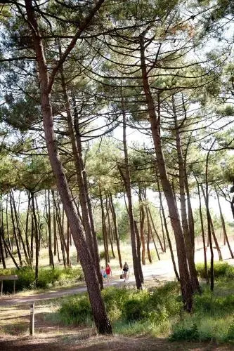 Camping Bel Air