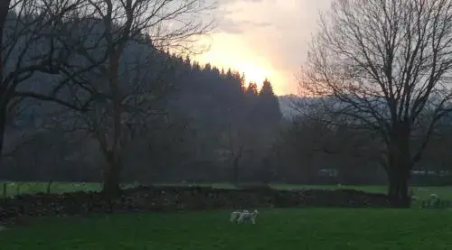 Tyddyn Bach Cottage & Bunk Huts