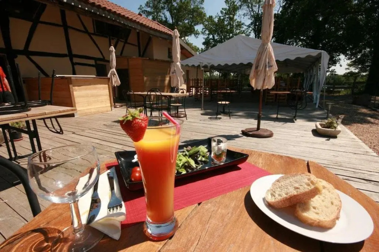 Domaine des Brouilles