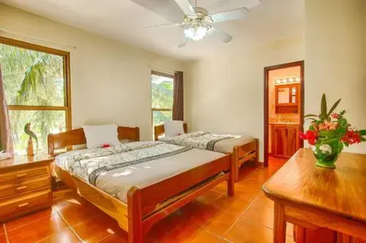 Wild Orchid Belize