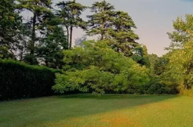 Tekels Park Guest House