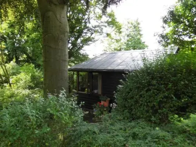 The Beech Tree Bed and Breakfast