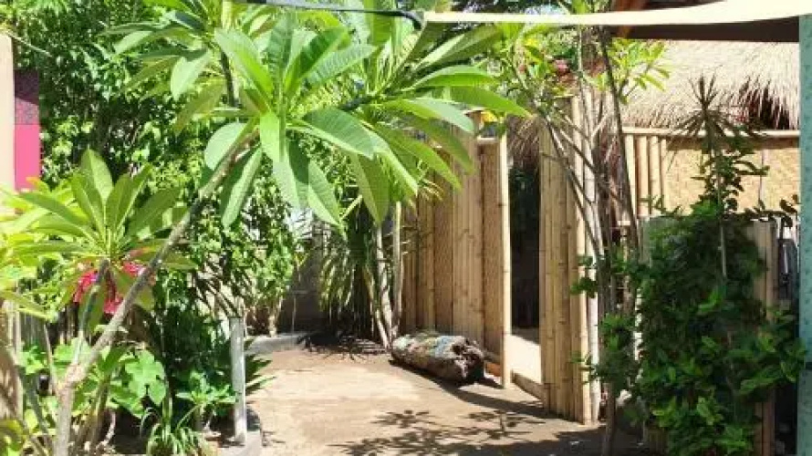 Why Not Bungalows