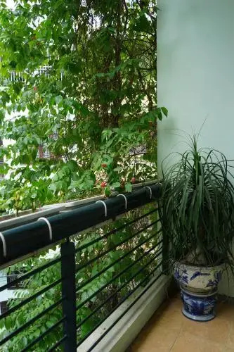 Yen Homestay