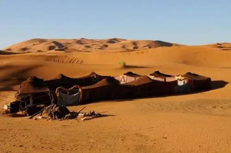 Desert Deep Camp