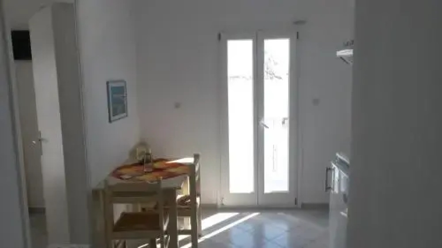 Antonia Studios