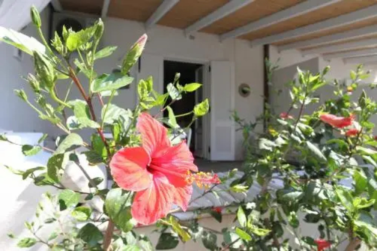Villa Sea Rose