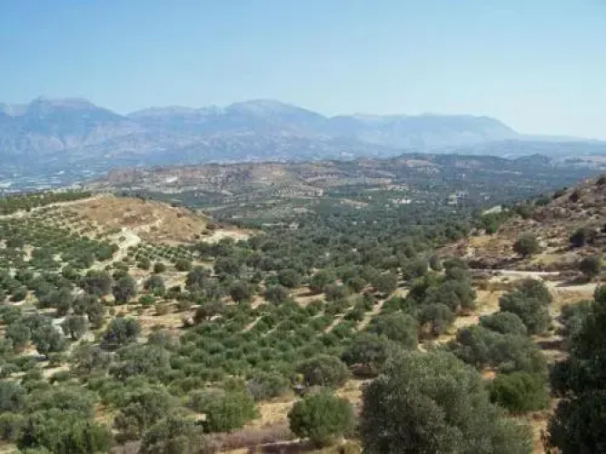 Villas Alexandros