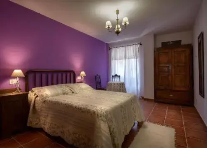 Paloma