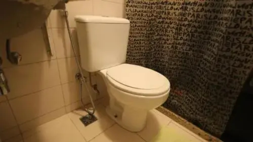 Gohouse Freire 207