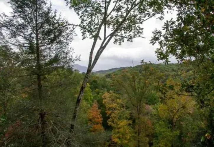 273 Maples Tree - 1 Br Cottage