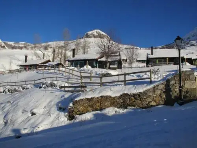 Cabañas Patagónicas