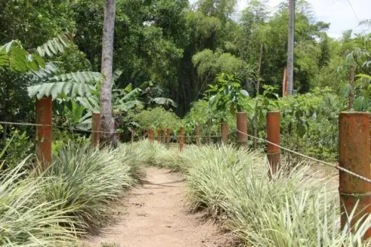 Hotel Campestre La Tata