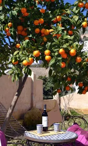 Dar Domingo