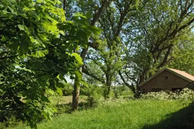 Ferienhaus Mandepolder