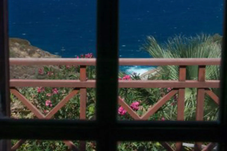 Niriides Studios
