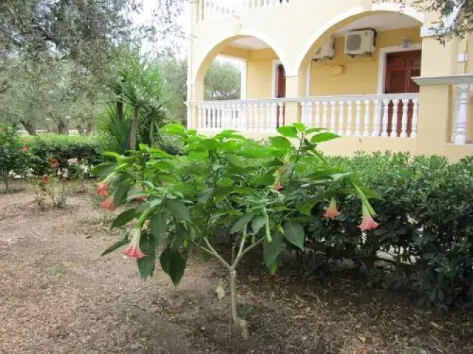 Dimaras Apartments