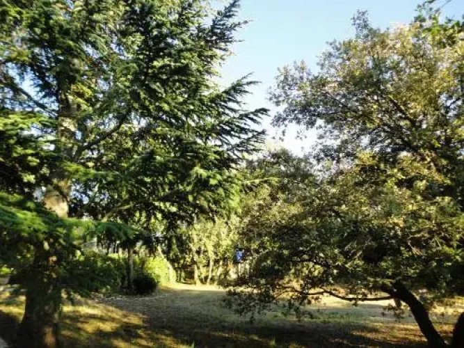 La Chênaie De Gordes