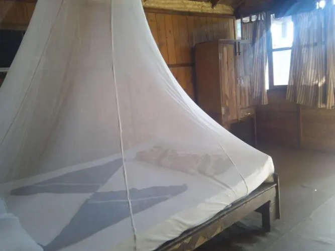 Cafe Del Sol Beach Bungalows