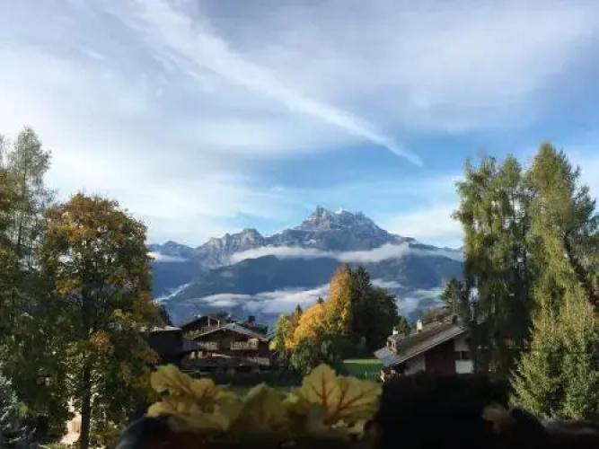 Chalet La Renarde
