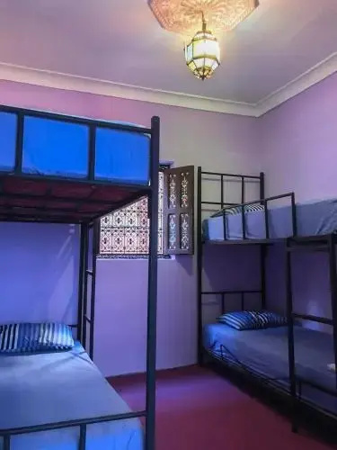Kammy Hostel