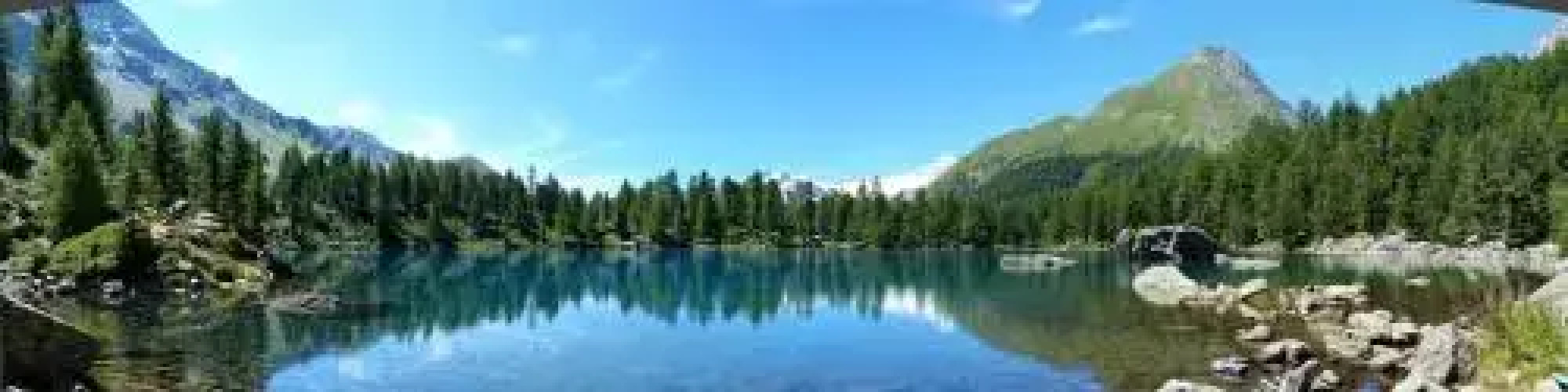 Dormitorio Selva Poschiavo
