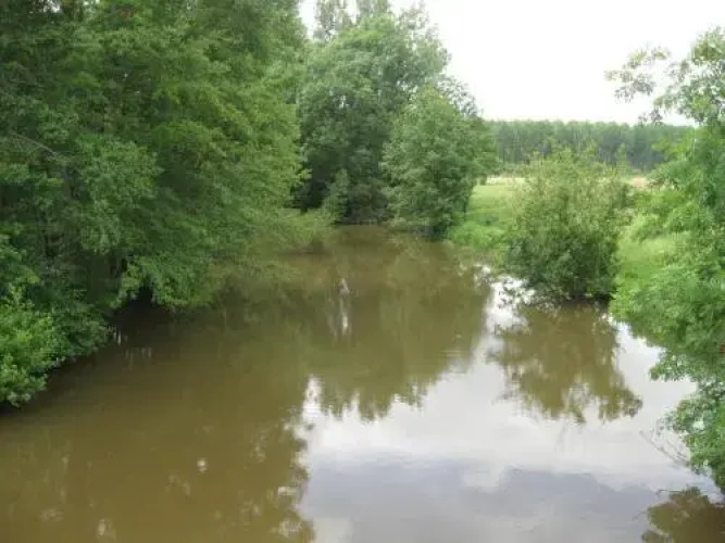 Le Petitepinay
