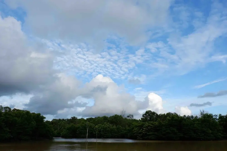 Samot Baitong Resort