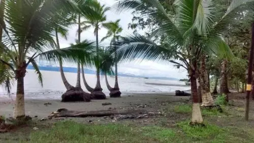 Osa Surf Hostel