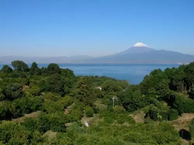 Yamaya