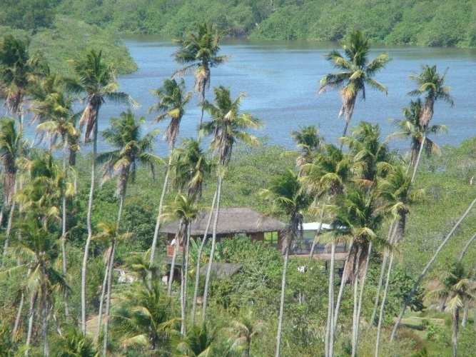 Pura Vida Bahia