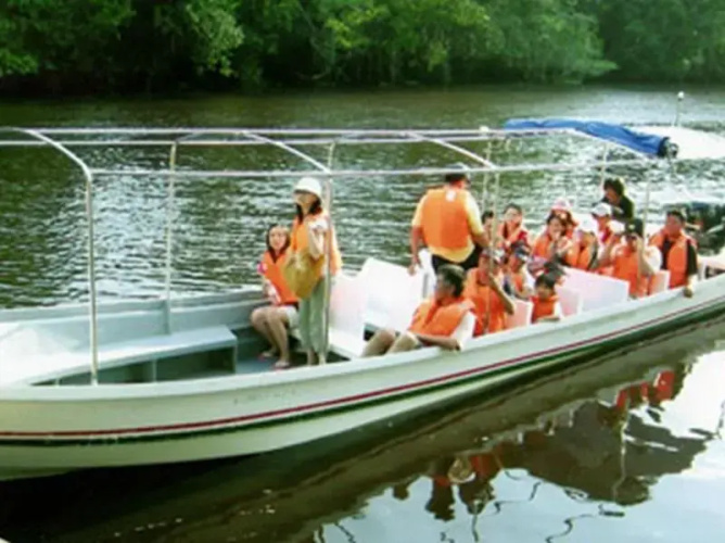 Borneo Proboscis River Lodge