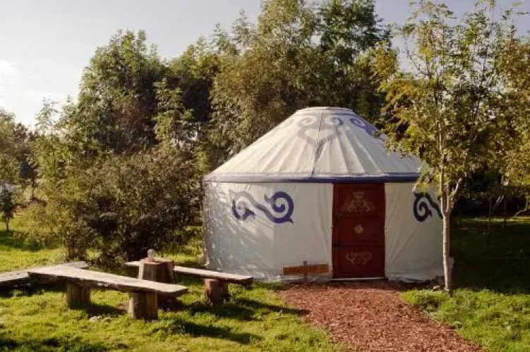 Plush Tents Glamping