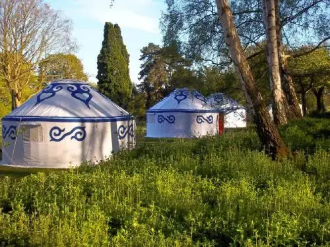 Plush Tents Glamping