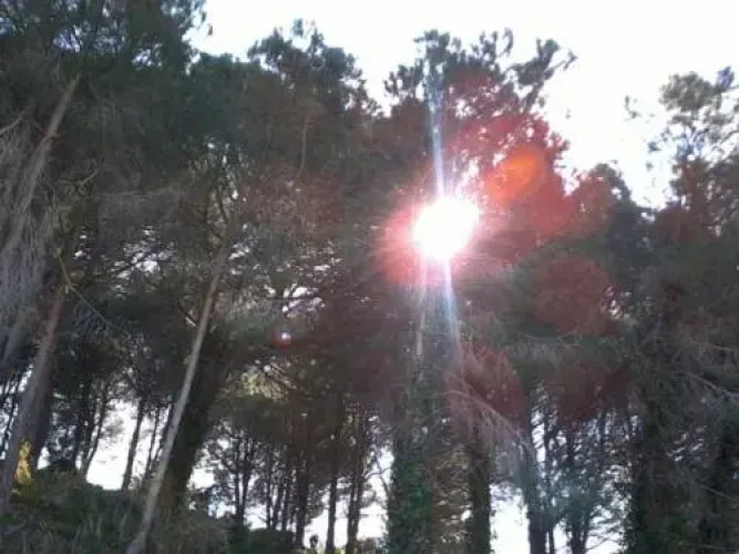 Pineta Sul Mare BB