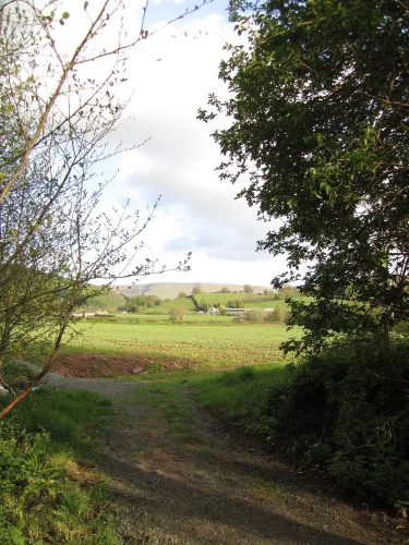 Wye Glamping