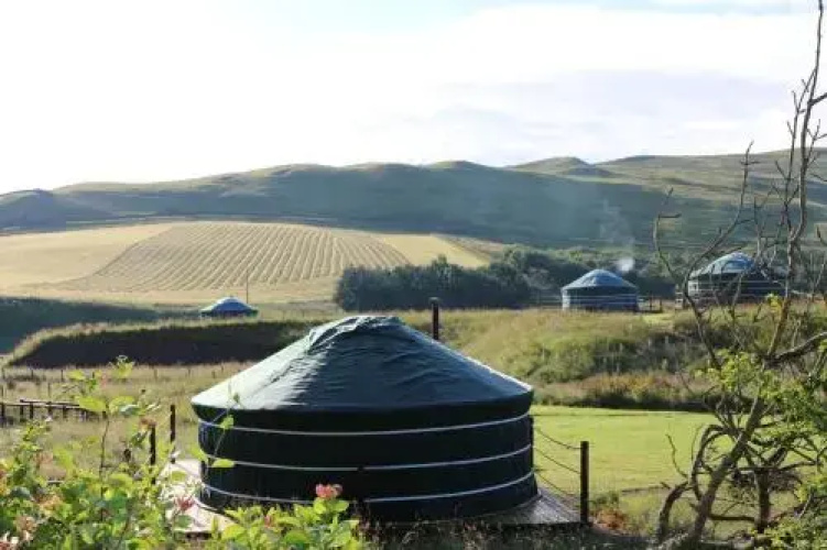 Ettrick Valley Yurts