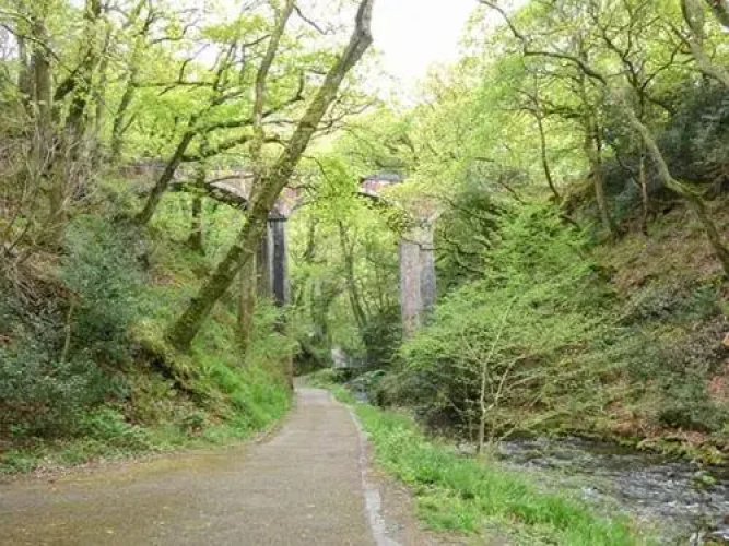 Dolgoch Falls