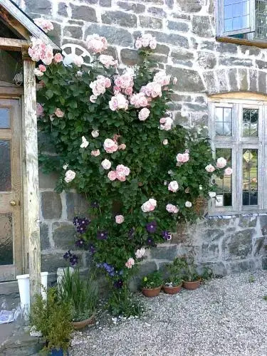 The Old Wheelwright
