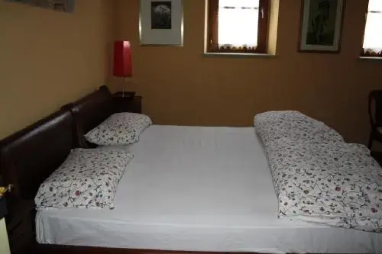Il Baco Da Seta