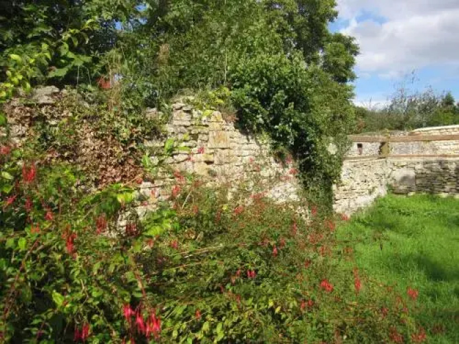 Maison Mue