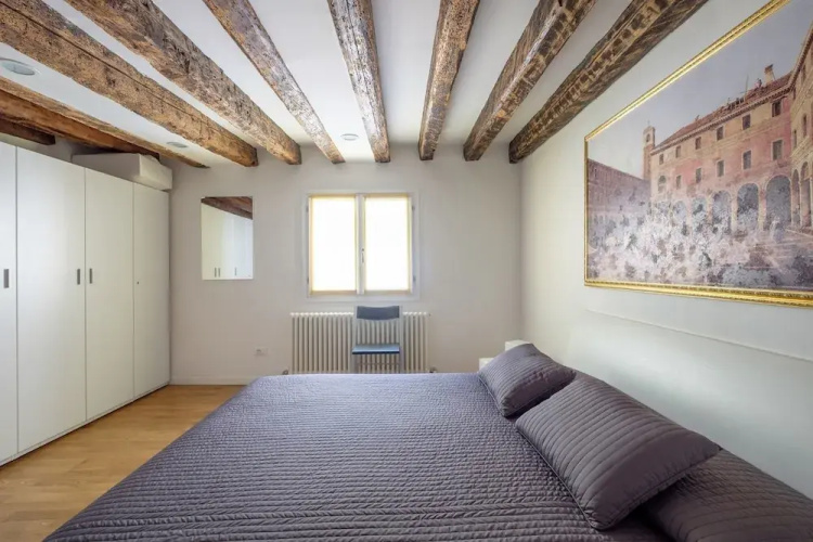 Lion 5