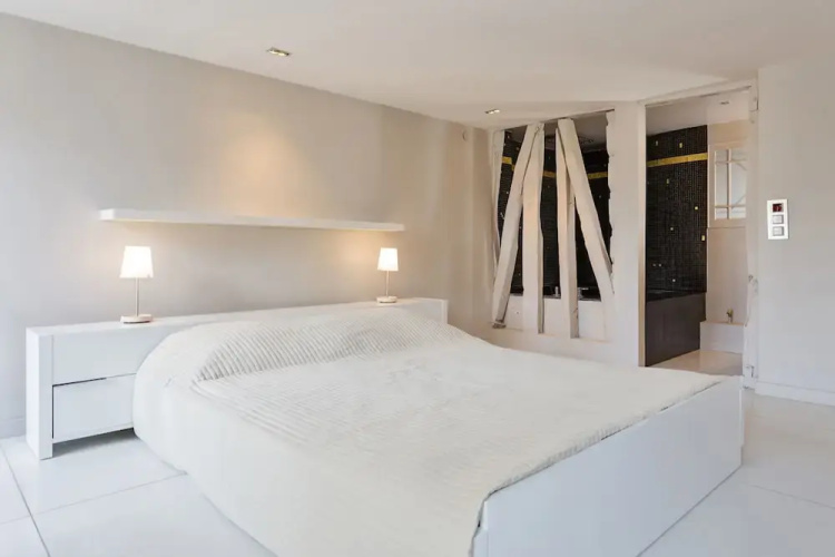 Penthouse Apartment - Champs Elysées