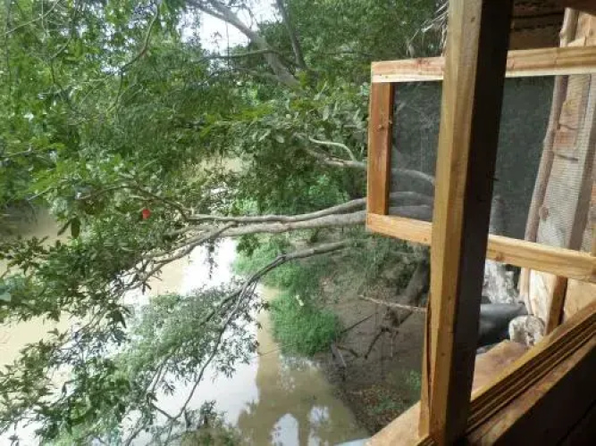 Kumbuk Tree House