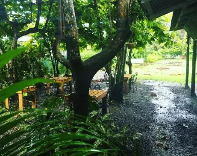 Bajo el Arbol B&B