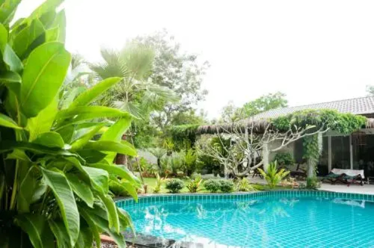 Blue Bird Guesthouse
