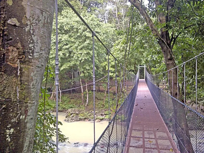 Tabin Wildlife Resort