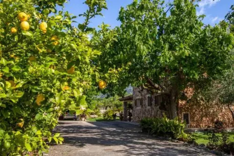 Finca Ca na Mavi