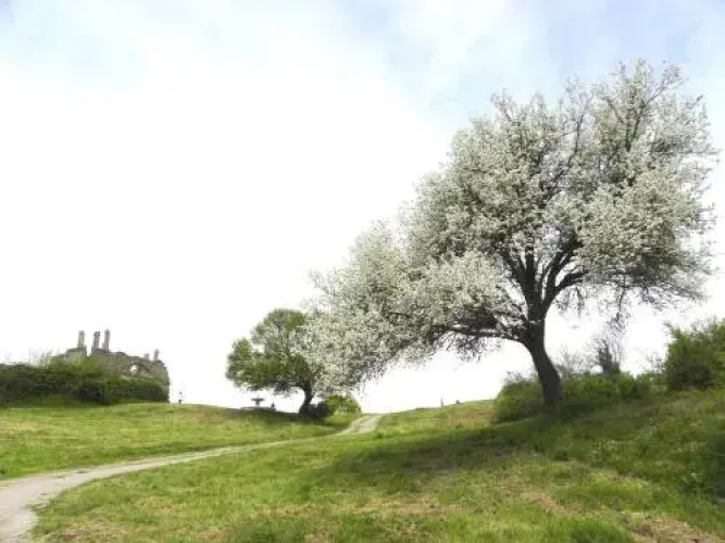 Borgo Di Ceri B&B