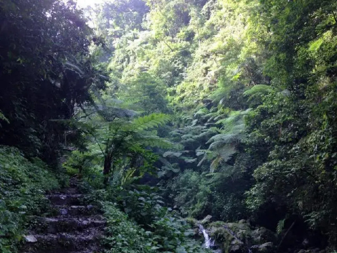Herman Lantang Camp